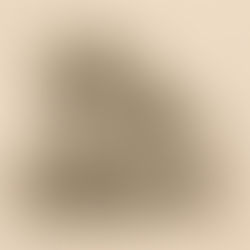 The Chupacabra: Arizona’s Most Mysterious Desert Predator