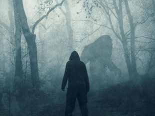 The Mogollon Monster: Arizona’s Bigfoot Legend