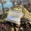 Miniature : Sachet / Granules en pierres naturelles