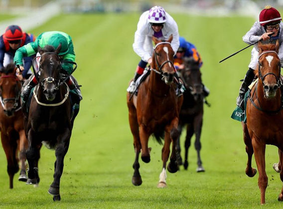 Photo 08-08-2021 22 26 21 (3).jpg