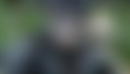 Planeta dos Macacos: A Guerra tem novo trailer divulgado