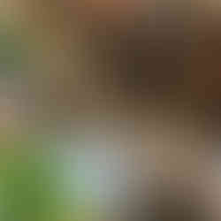 תמונות מחנות נושא כלים