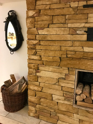 טיול מעוצב- היער השחור