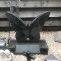 The Butterfly