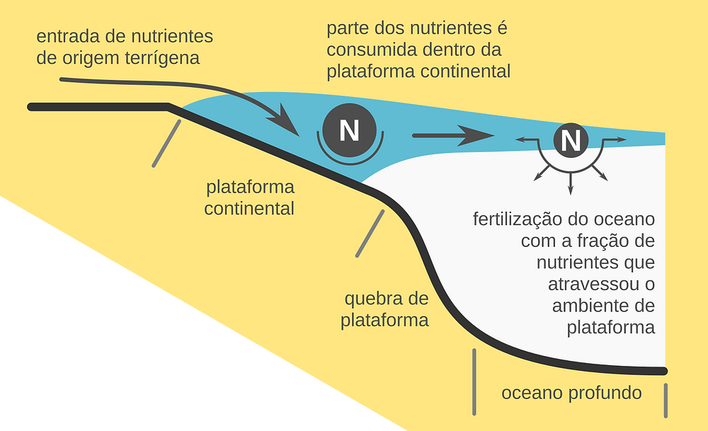 Esquema mostrando a excursão de uma pluma costeira até o oceano profundo. Nota-se que apenas parte do volume da pluma atinge águas oceânicas (em cor azul), o que age como limitador ao aporte de nutrientes (representados por N). Outro fator importante é que os nutrientes são consumidos na plataforma continental, ficando disponível uma fração reduzida para fertilizar as águas do oceano mais profundo