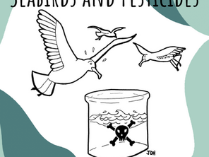 Pesticides and Seabirds