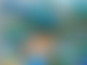 Arte, conservação e ciência na formação de pequenos-grandes humanos!