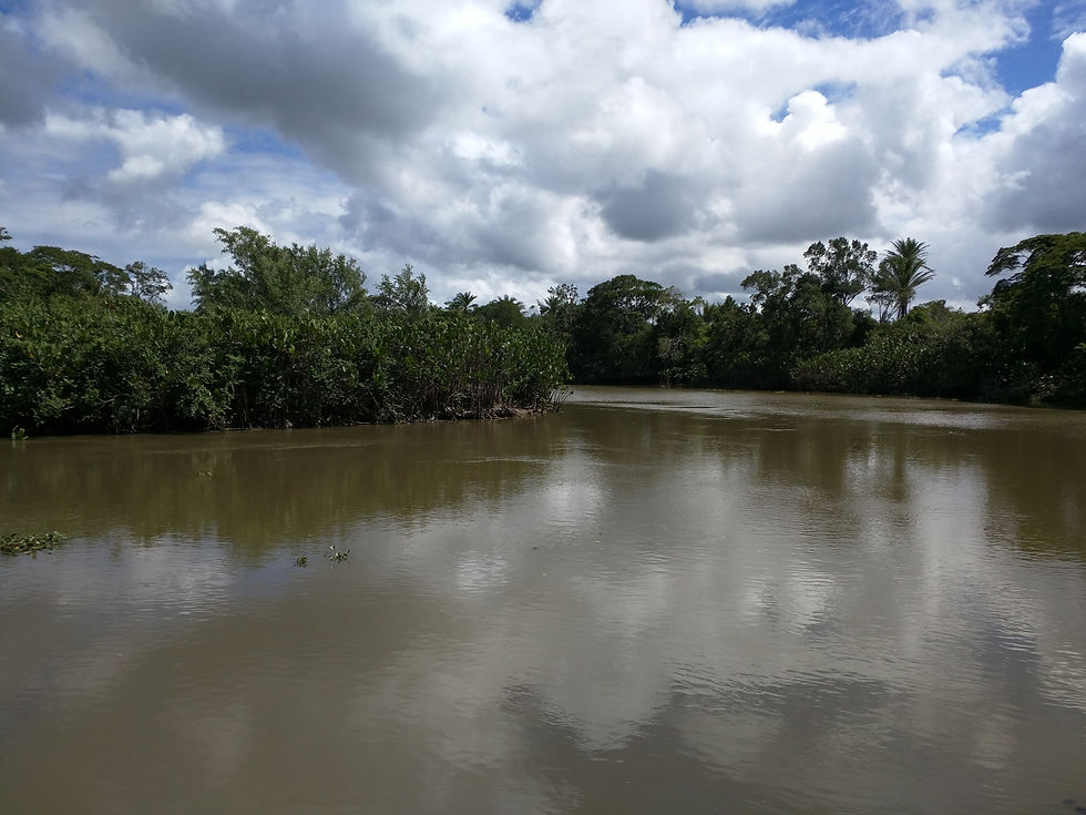 Landscape photograph of a dark and calm river. Lush green vegetation grows along the riverbank. The sky is covered by white clouds, with some blue peeking through