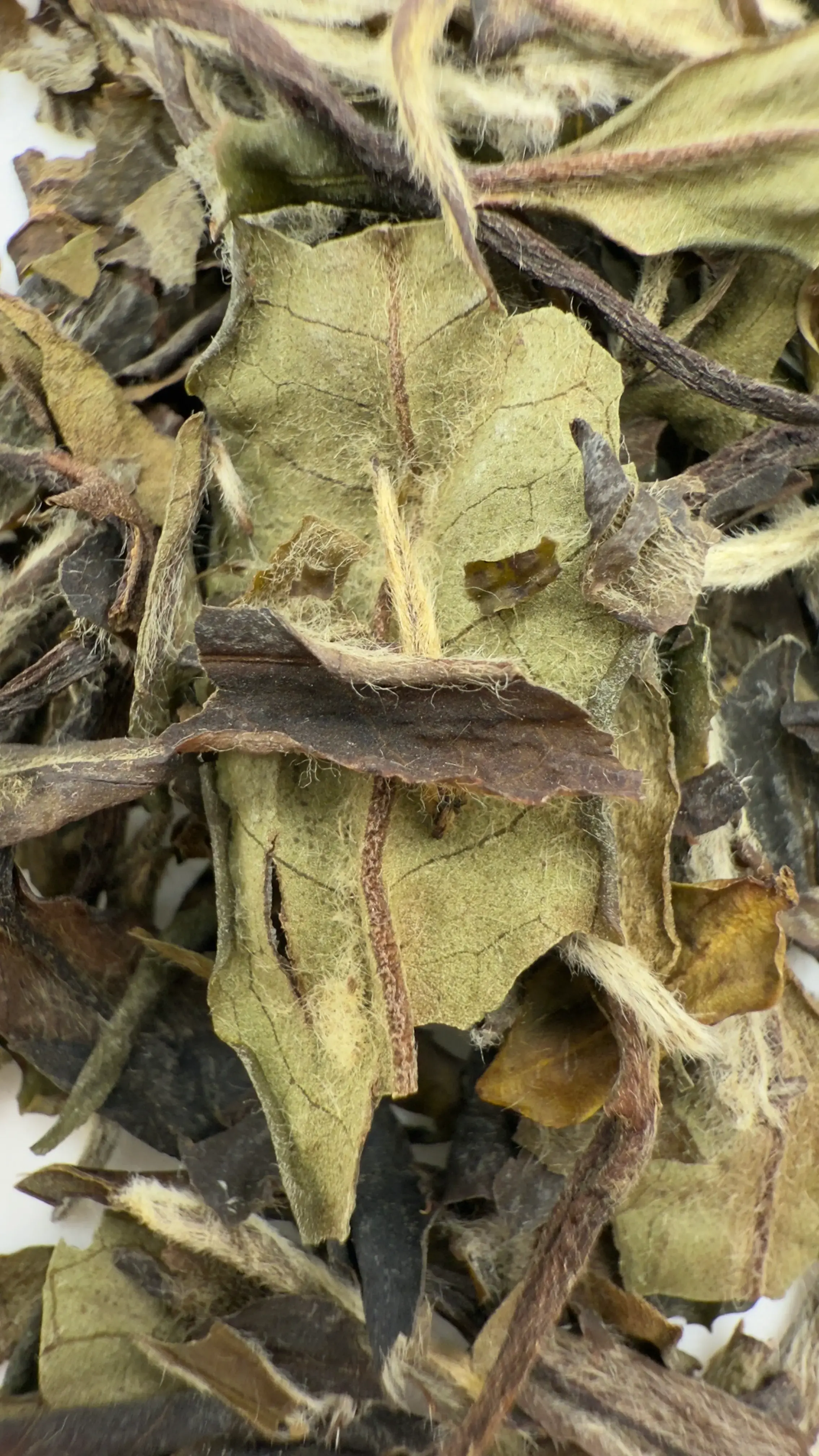 Bai Mu Dan
