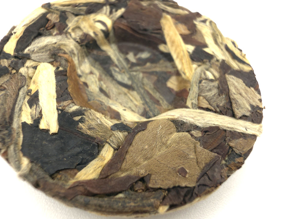 Miniatyrbilde: GABA Shou Mei «Hua Xian»