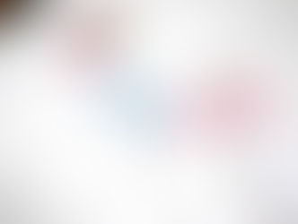 ついに、販売開始!!