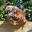 Thumbnail: Calico / Mille Bantam Cochin Eggs (Per Dozen+)