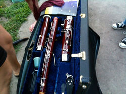 A pesky instrument to capture, so rowdy and all, but here is my beloved bassoon chillin' outside, we