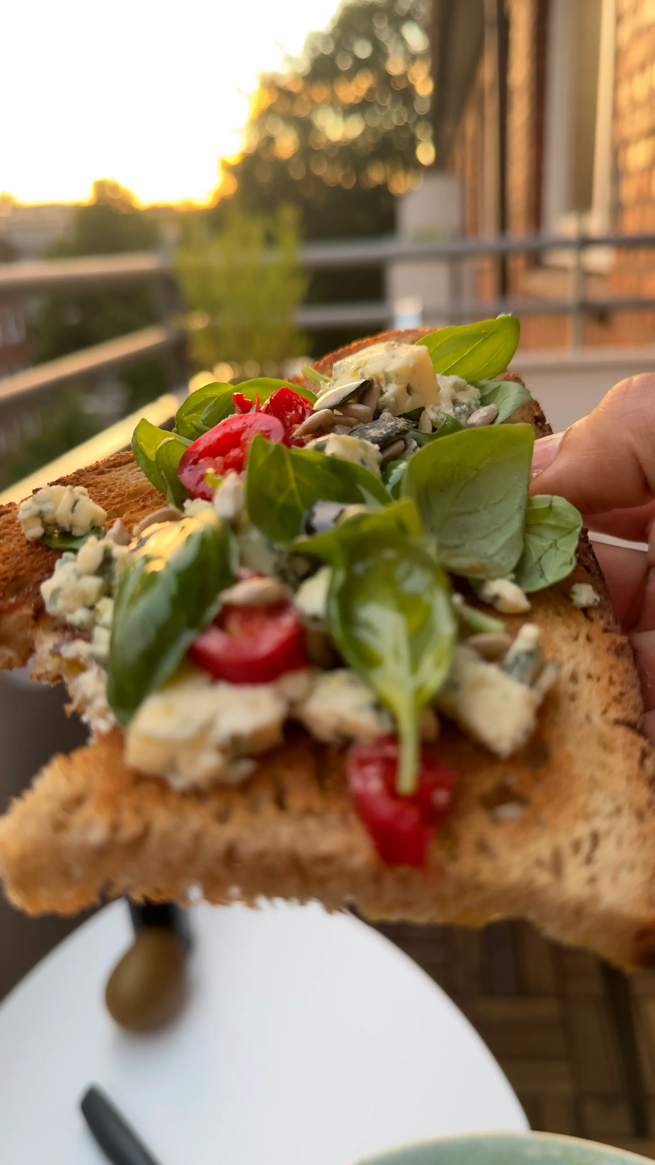 Descubre cómo Hamburgo ha transformado mi vida. Desde un estilo de vida activo y saludable hasta nuevas oportunidades con mi dieta ovo-lactovegetariana y entrenamientos en Benefit.