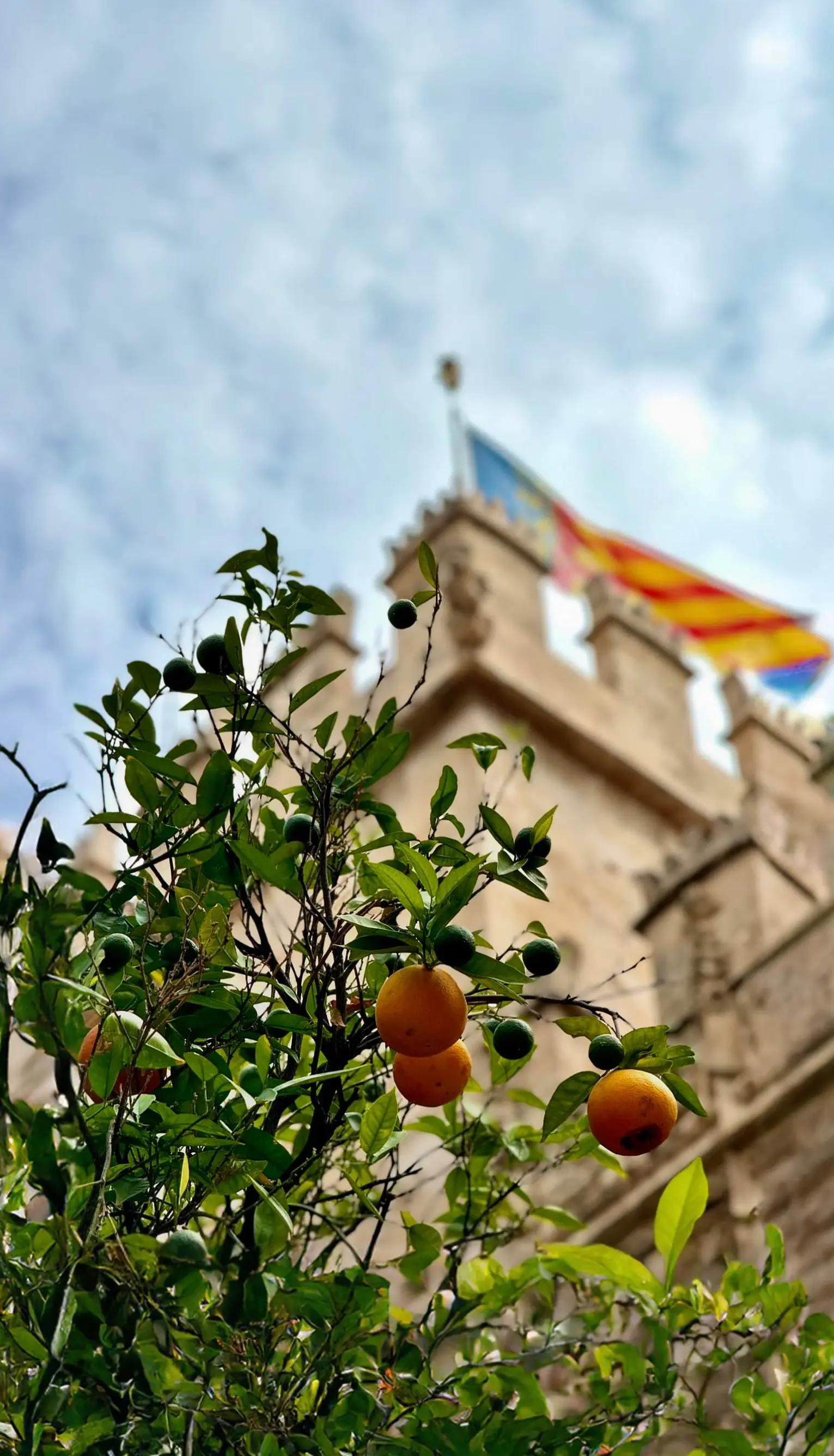 Descubre cómo viajar por Europa manteniéndote en forma sin gastar mucho. Consejos prácticos, ejercicios y opciones de comida saludable.
