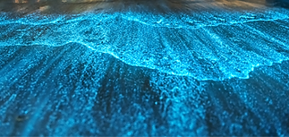 AdobeStock_367243900-scaled_edited.png