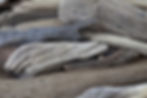 driftwood_display.jpg