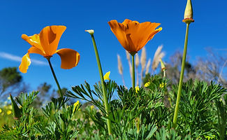 20250221_105246 (1).jpg