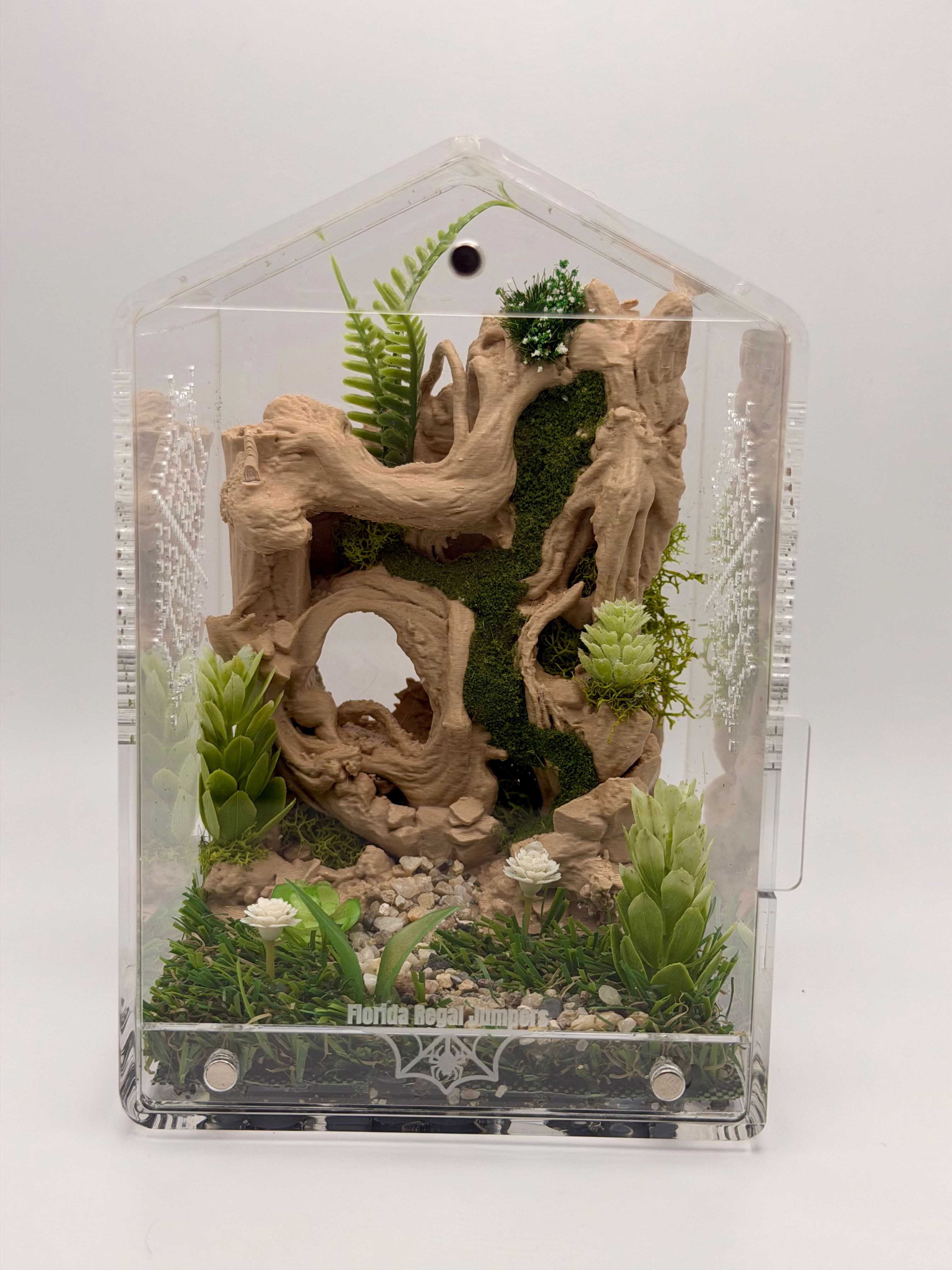 Standard Jumping Spider Enclosure 