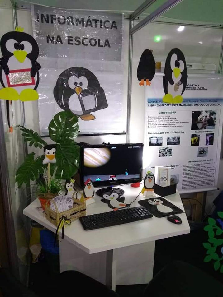 20ª FLUMISUL