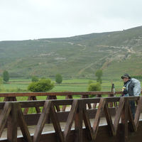 p1000809