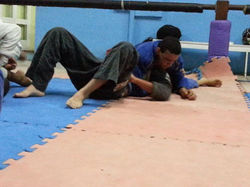 Treino de Jiu-jitsu