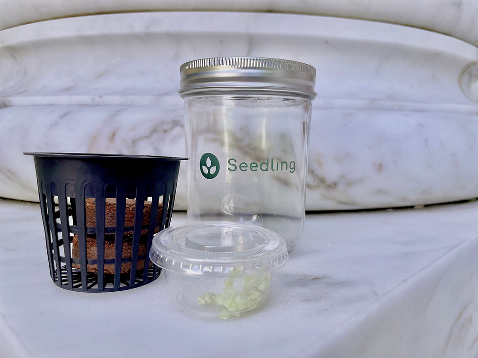 Thumbnail: Hydroponics Mason Jar Unit