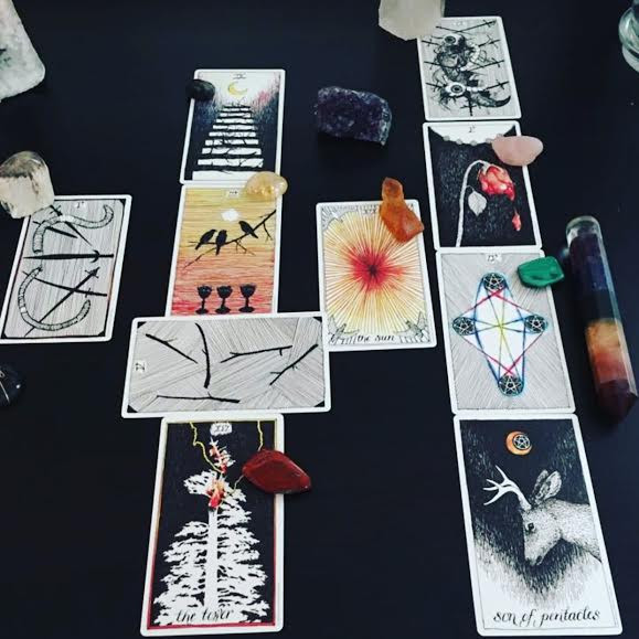 Wild Unknown tarot spread showing Pulse tragedy
