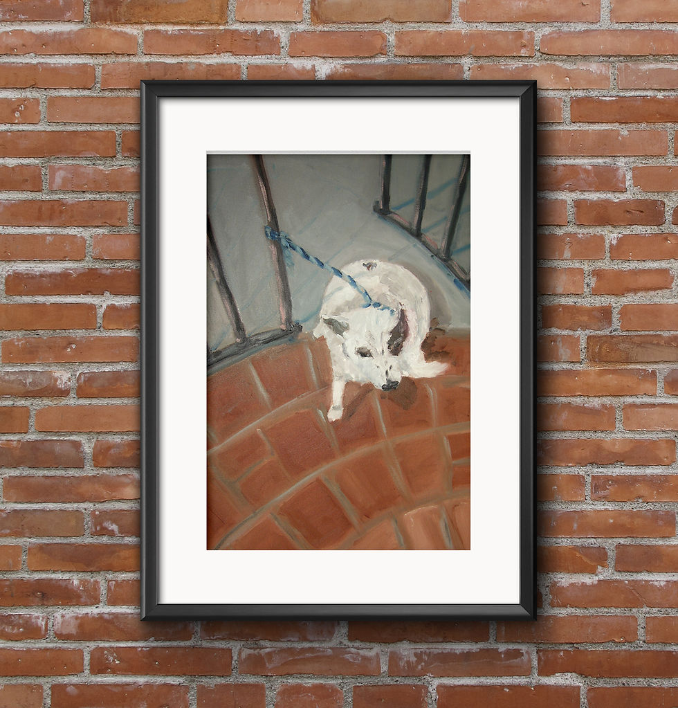 Framed Print - Bandit