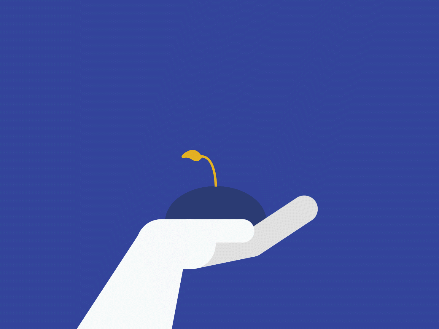 Hand holding plant