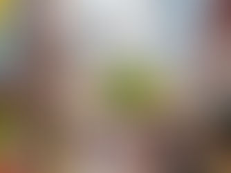 Busy street in Singapore's Chinatown lined with shops, colorful signs and the Buddha Tooth Relic Temple 