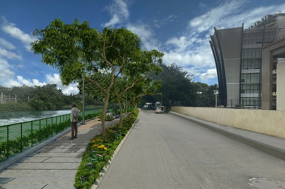 Melina Kere Clean Up Week#2