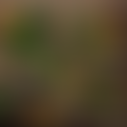 Discover Root Causes: Integrative Medicine Approach