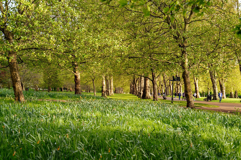 Hyde Park London Image