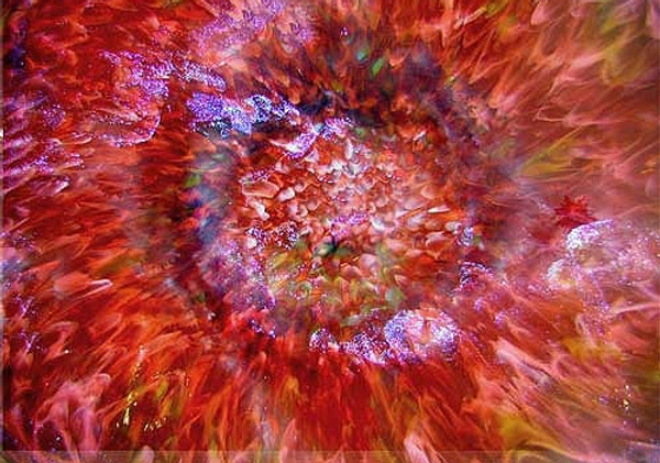 Colorful Blown Glass Wall Flowers | Blown Glass Platters | Sculptural Glass Wall Art | Hand Blown Glass Platters