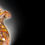 Thumbnail: Colorful Urns