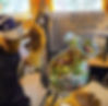 Thumbnail: "Sacred Rainbow" ~  #1