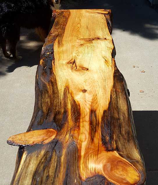 Live Edge Slab Benches