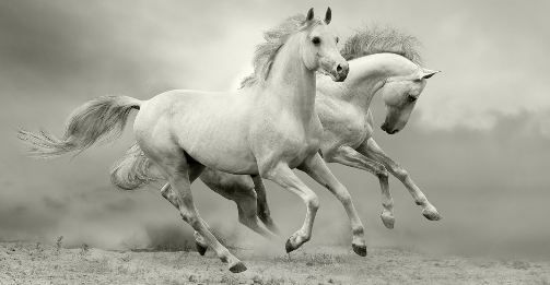 Артикул: 230090