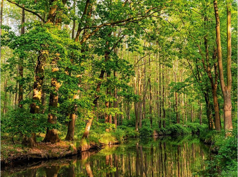 Артикул: 250375