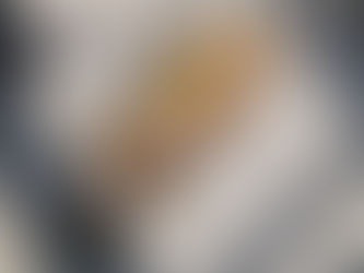 今日は……アオハタからの~