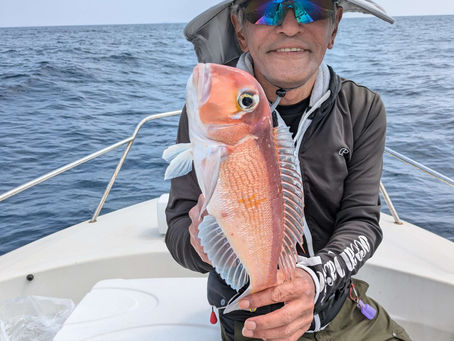 こちらも対応させて…