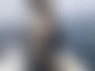 午後から活性は下がり…