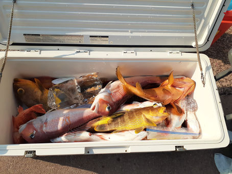 有難う御座いました😄