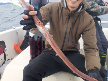 次はコイツの強襲❗️