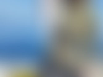 前から釣りたかった🎵