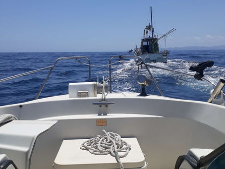 早々に帰還…(^_^;)