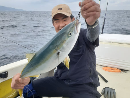 フィールドが当たったのか?