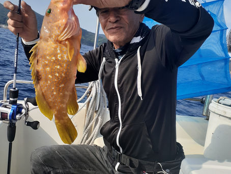 朝の挨拶はアコウ君☝️