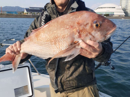 今日は予報に反し……